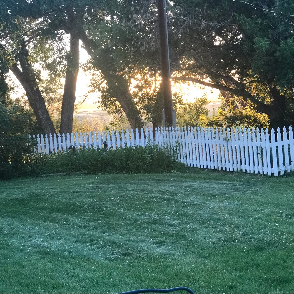 Meet your Posher, JZ